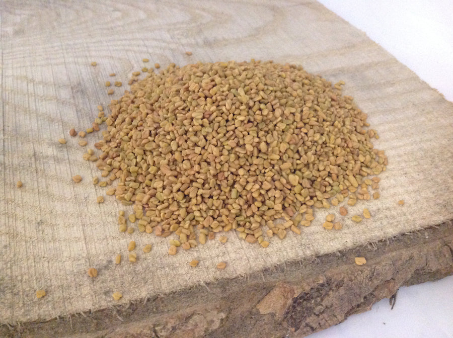 Fenugreek Seed