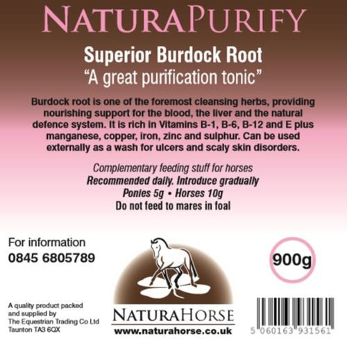 Burdock Root